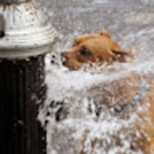 Meet your Posher, Charles